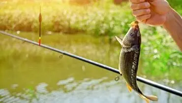 روش عجیب ماهیگیری با مار!+ فیلم