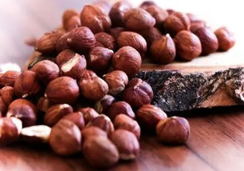 مصرف روزانه یک مشت فندق چه تاثیری بر سلامت بدن دارد؟