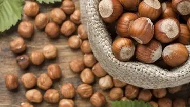 فندق چه فوایدی برای سلامت بدن دارد؟