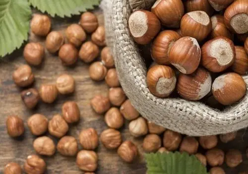 فواید باورنکردنی و معجزه آسای فندوق