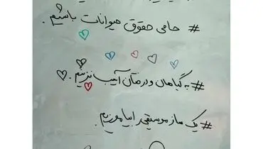 خداحافظی خانم معلم قائمشهری از دنیای تدریس+ فیلم