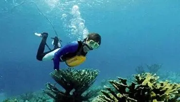 حادثه ای وحشتناک برای کودک غواص در دریا+ فیلم