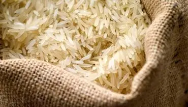 واردات برنج به نصف رسید