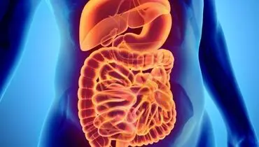این مشکلات دستگاه گوارش را جدی بگیرید