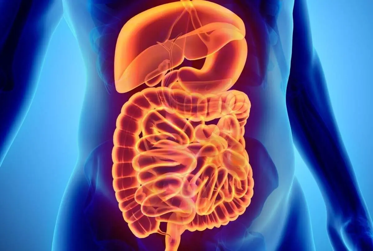 این مشکلات دستگاه گوارش را جدی بگیرید