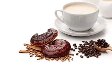 خواص درمانی و زیبایی قهوه گانودرما