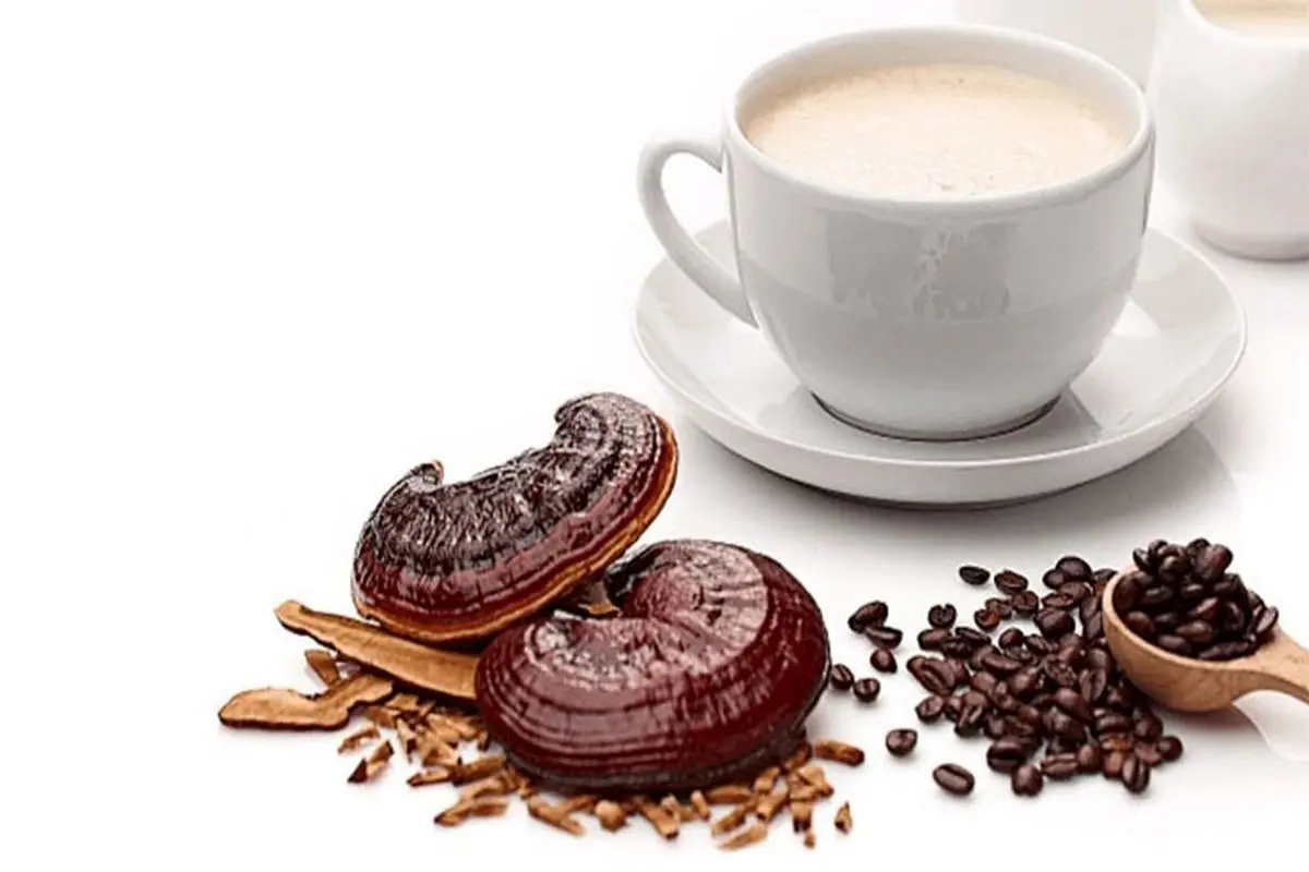 خواص درمانی و زیبایی قهوه گانودرما