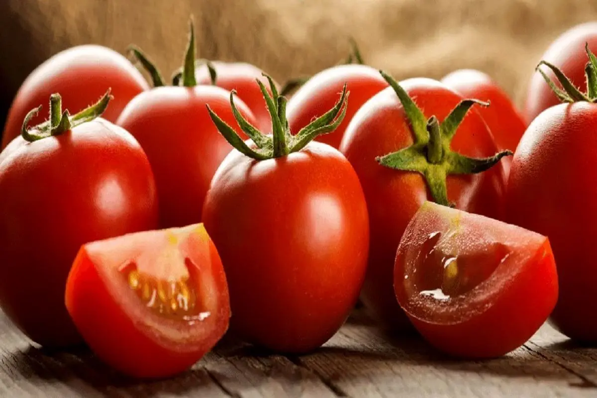 معجزه عصاره گوجه فرنگی بر این بیماری خطرناک