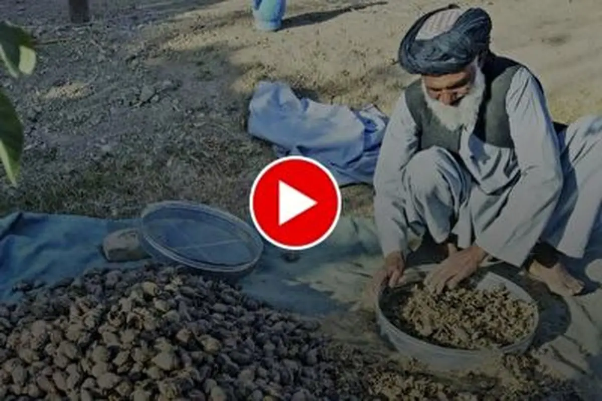 ویدیویی‌ عجیب از فروش علنی تریاک در خیابان‌های افغانستان