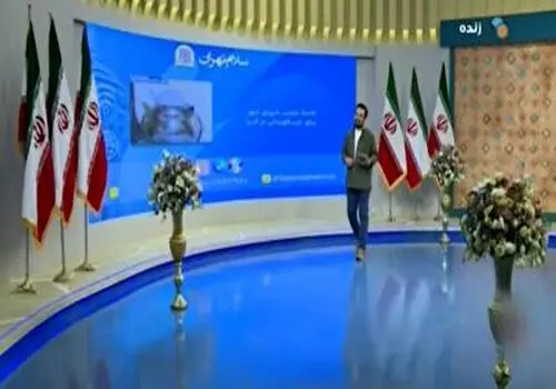 مجری صداوسیما: قهرمانی‌های زیاد سبک زندگی پرسپولیسی‌هاست