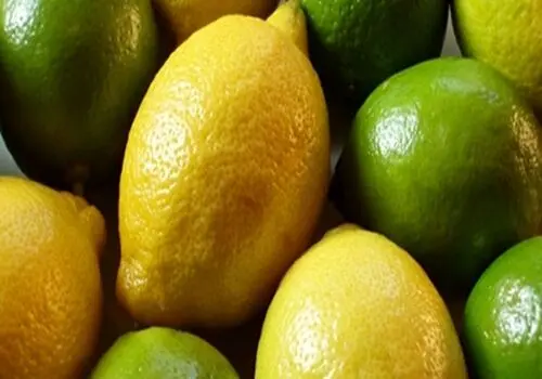این افراد نباید لیمو ترش مصرف کنند