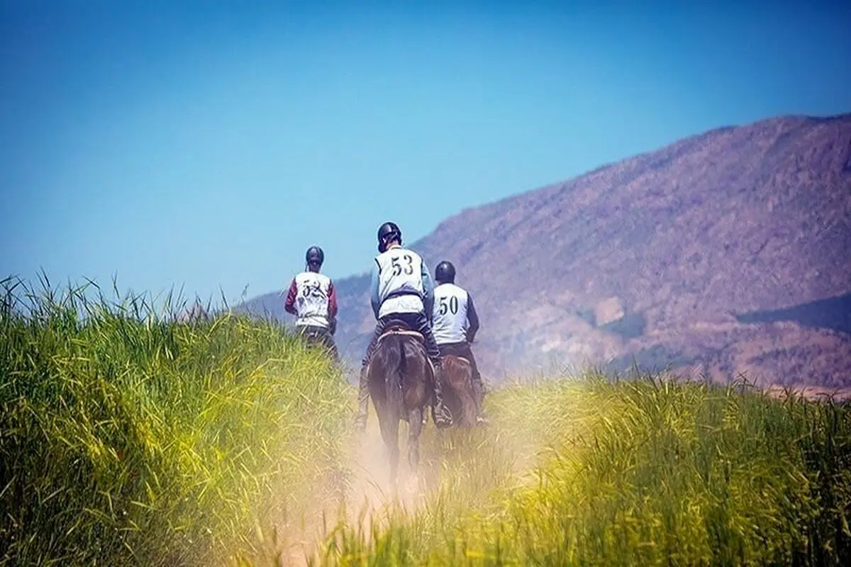 تصاویری از مسابقات اسب سواری استقامت در ایران