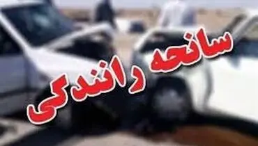 بازیکن ارزنده تیم ملی به کما رفت+ عکس