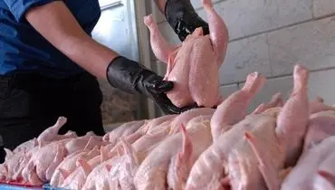 آخرین وضعیت قیمت مرغ در بازار/ هر کیلو مرغ به ۱۳۶ هزار تومان رسید!