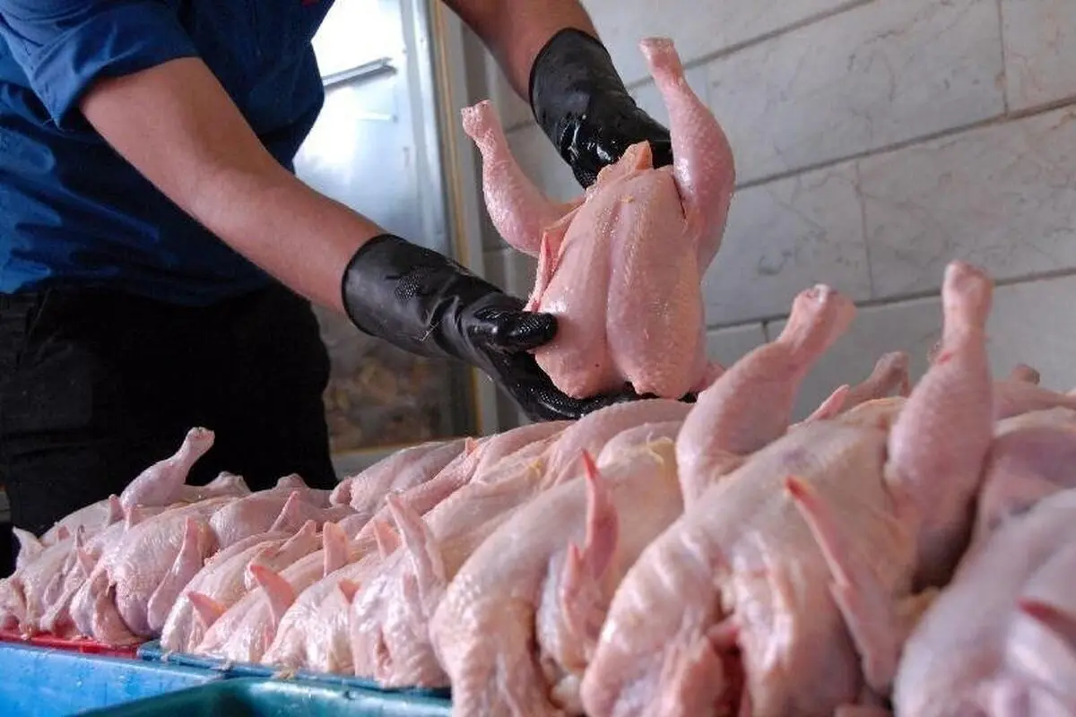 آخرین وضعیت قیمت مرغ در بازار/ هر کیلو مرغ به ۱۳۶ هزار تومان رسید!