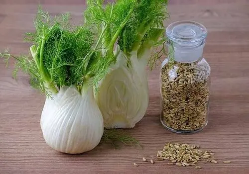 چگونه با مصرف رازیانه لاغر شویم؟