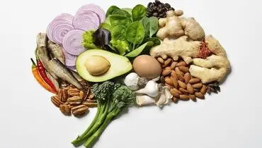 با این غذاها هرگز فراموشی نمی گیرید