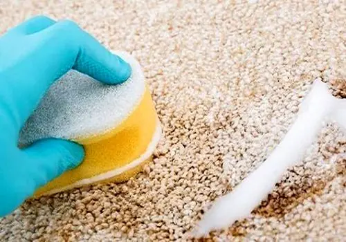 چطور از استفراغ زمستانی جلوگیری کنیم؟
