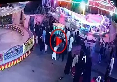عکس تاب‌سواری سگ‌ها در یکی از پارک‌های تهران

