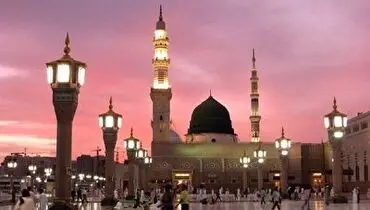 هجوم باورنکردنی ملخ ها به مدینه منوره+ فیلم