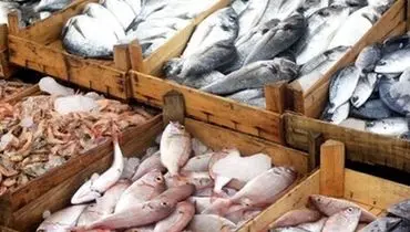 قیمت سرسام آور ماهی در بازار!+ عکس
