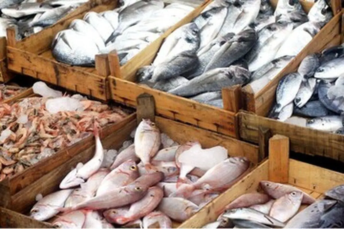 قیمت سرسام آور ماهی در بازار!+ عکس