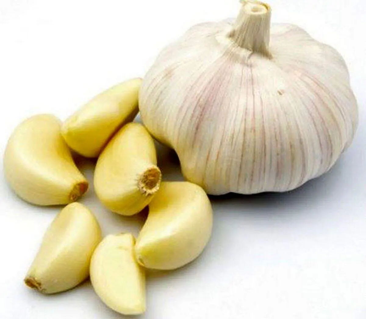 شیوه جالب نگه داشتن سیر در طول سال