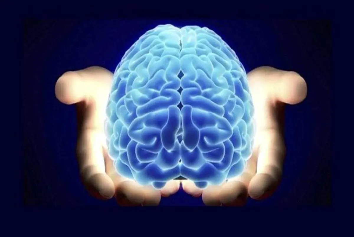 میوهها و نوشیدنی هایی که از کاهش حافظه در پیری جلوگیری می کنند