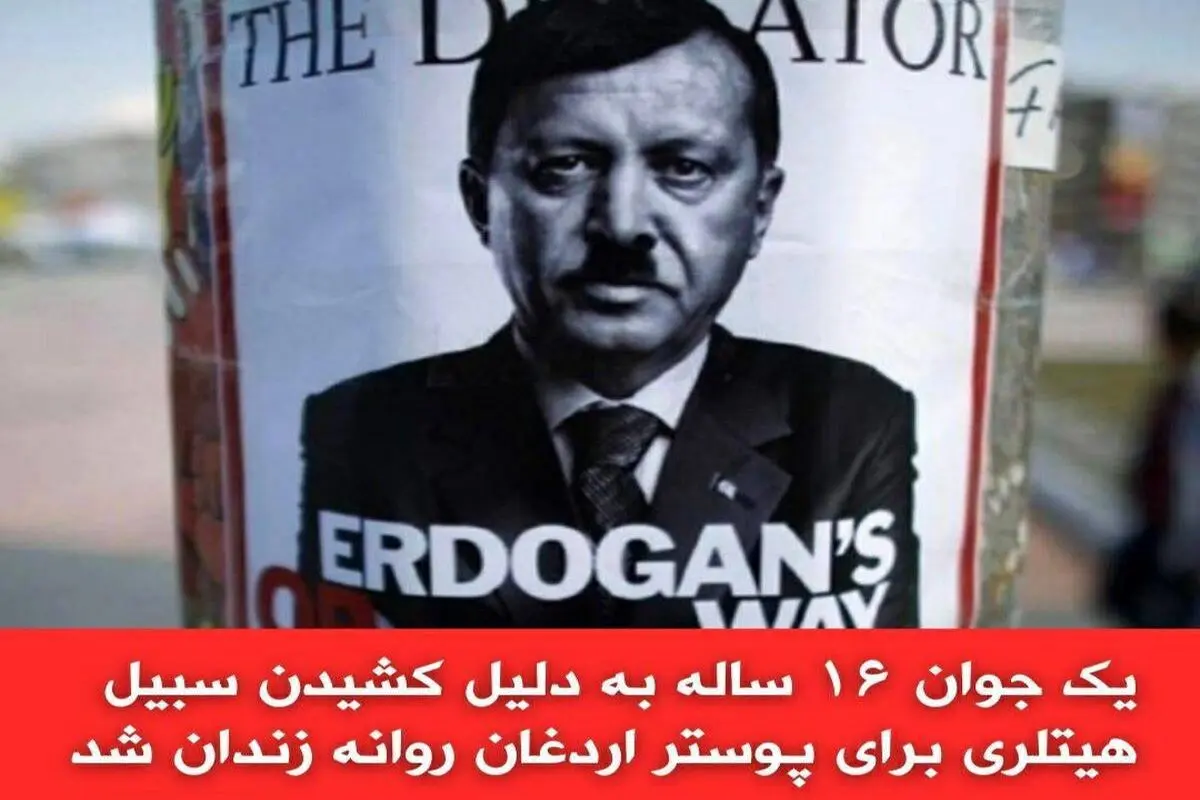 مجازات یک جوان به خاطر کشیدن سبیل هیتلری روی پوستر تبلیغاتی اردوغان