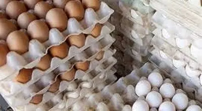 تخم‌مرغ گران‌تر می‌شود؟ آخرین اعلام نرخ و پیش‌بینی بازار شب عید و رمضان