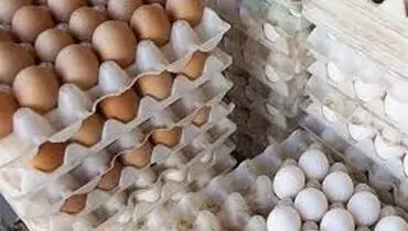 تخم‌مرغ گران‌تر می‌شود؟ آخرین اعلام نرخ و پیش‌بینی بازار شب عید و رمضان