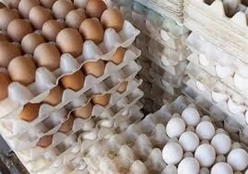 برای عید امسال موهاتو خودت رنگ کن؛ ترکیب رنگ موی قهوه‌ای شکلاتی!
