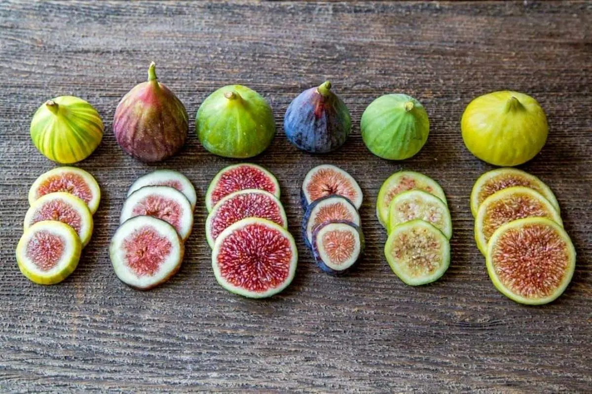 یک درمان طبیعی برای یبوست و مشکلات گوارشی