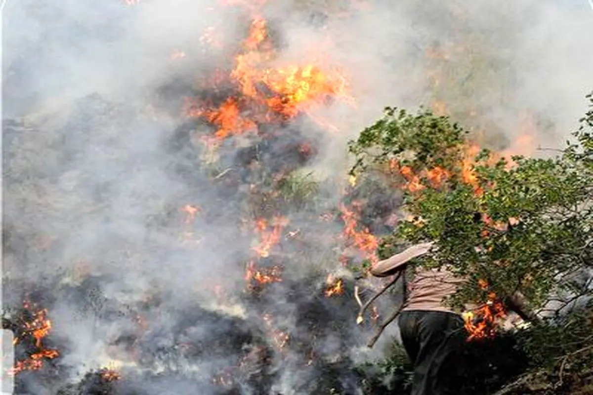 آتش سوزی‌ وحشتناک جنگل‌های هیرکانی مازندران+فیلم