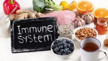 تقویت سیستم ایمنی بدن با خوردن این ۶ خوراکی