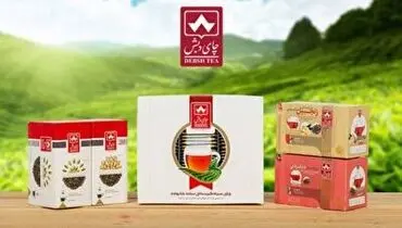 روایت سخنگوی دولت از چگونگی کشف فساد مدیران چای دبش+ فیلم
