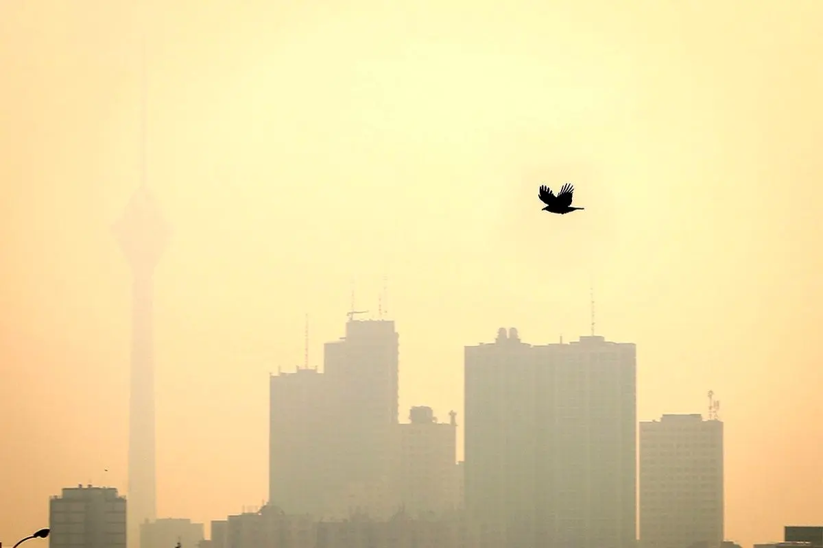 آلودگی هوا در کشورهای مختلف سالانه چند نفر را به کام مرگ می‌کشد؟+ اینفوگرافیک