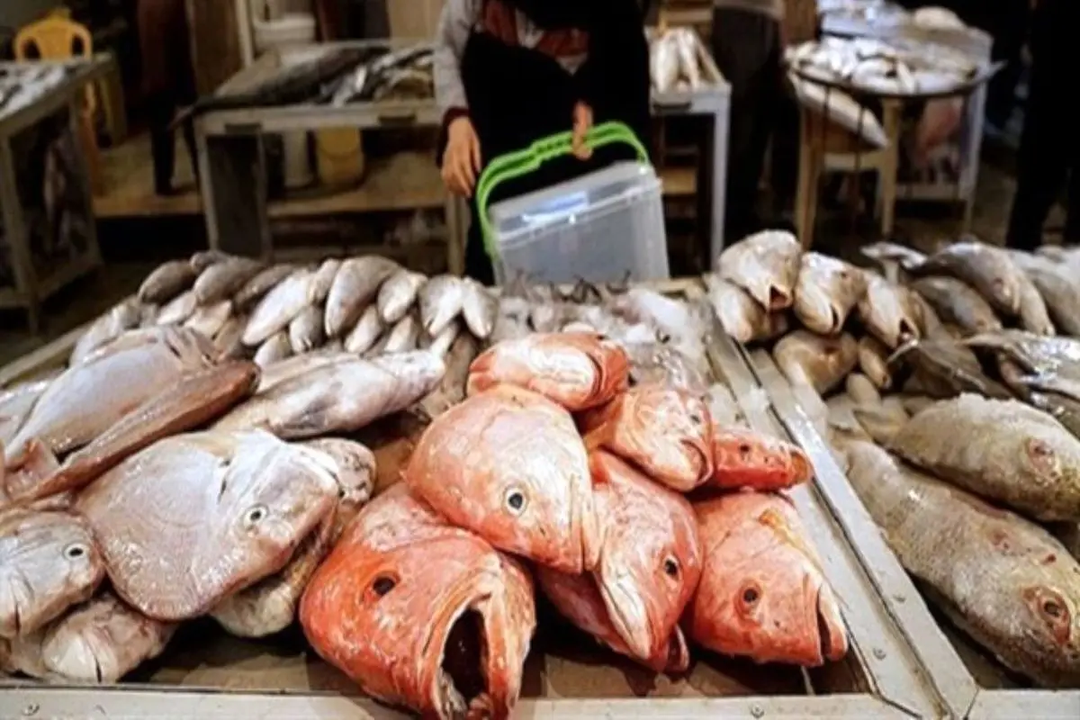 افزایش قیمت ماهی با رشد تقاضا؛ ماهی سفید از ۴۰۰ هزار تومان گذشت+ جدول قیمت