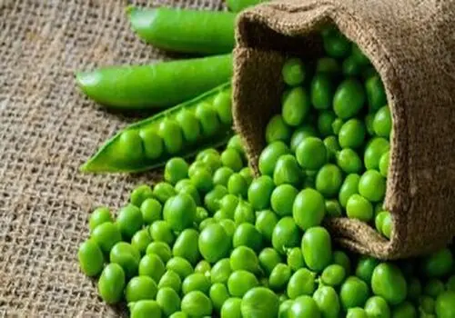 فواید بی‌نظیر نخود فرنگی برای سلامتی