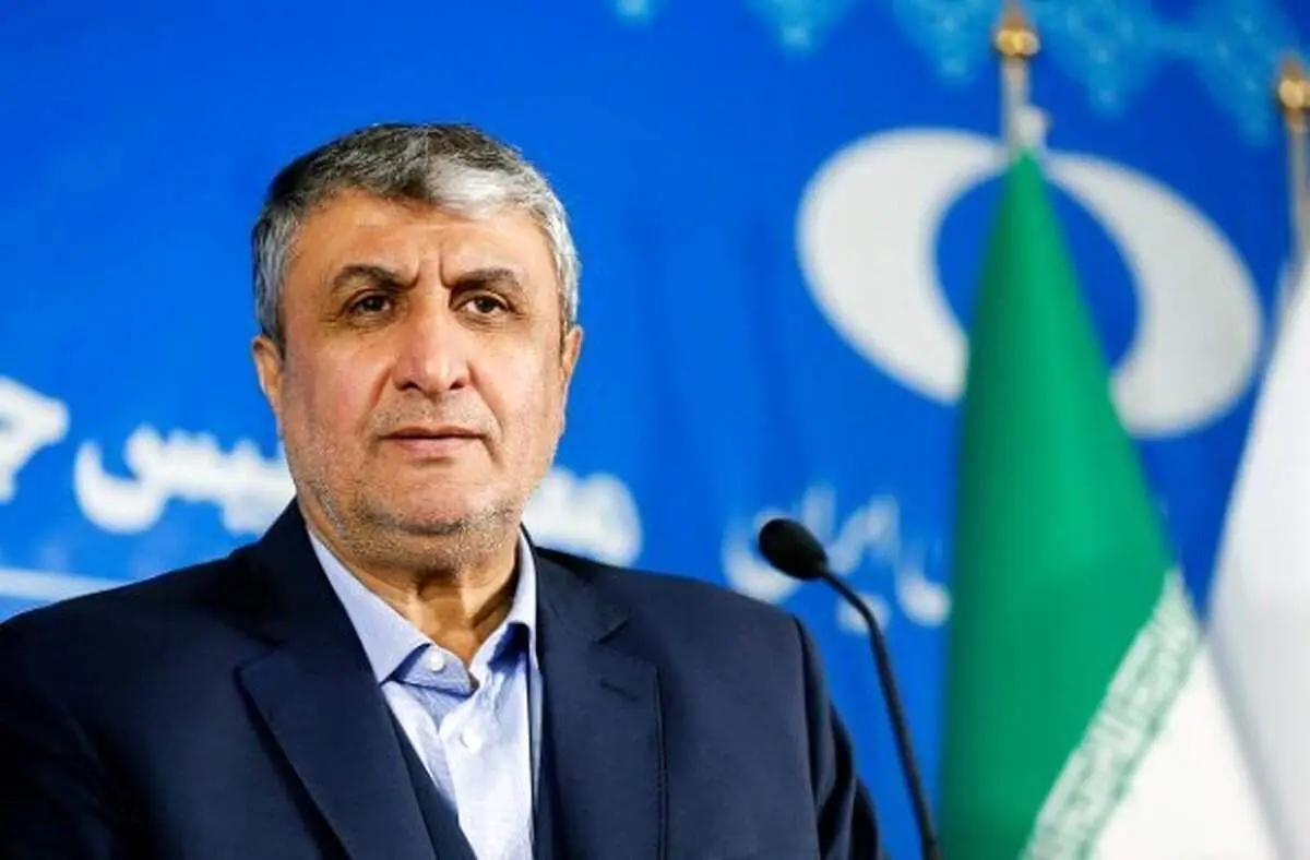 واکنش رئیس سازمان انرژی اتمی به جلسه شورای حکام