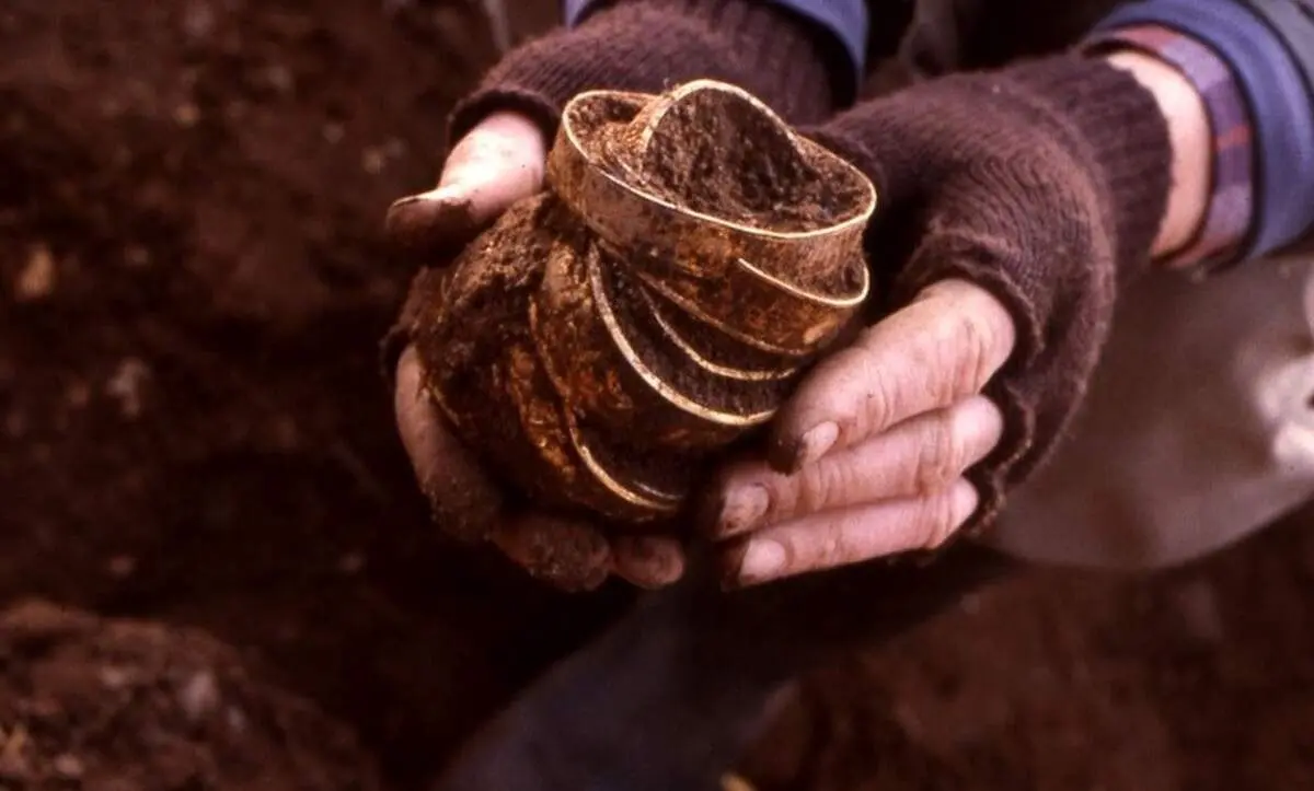 گنج ارزشمندی که مرد  استرالیایی در پارک پیدا کرد+عکس