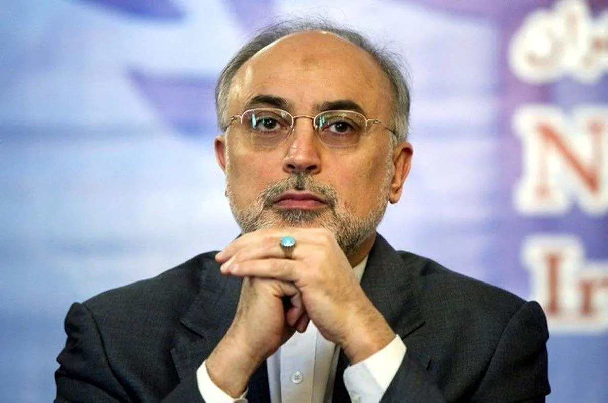 صالحی: پادشاه عربستان گفت چرا اینقدر به من فحش می‌دهید+فیلم