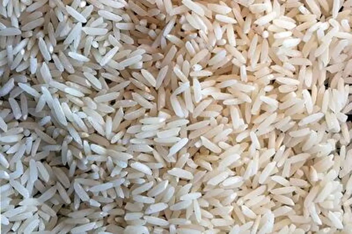 بهترین روش نگهداری برنج در برابر حشرات برای چندین سال+ فیلم