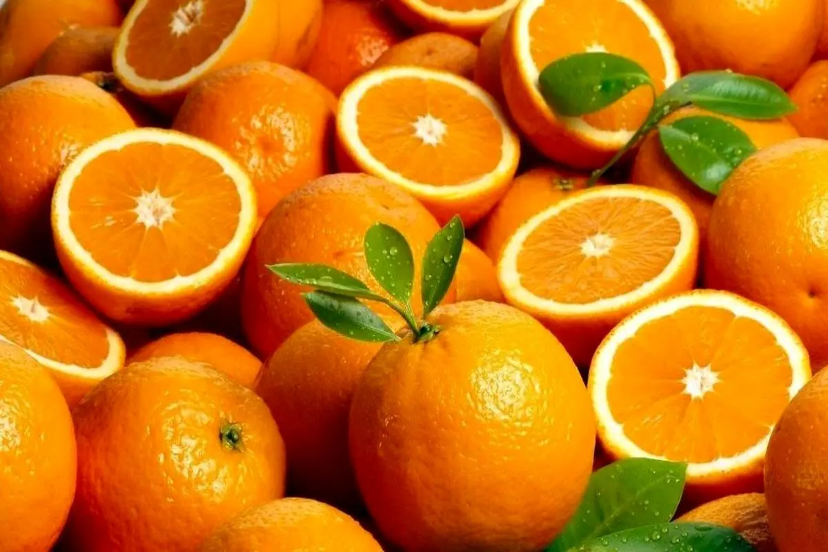 شب پرتقال بخوریم یا نه؟