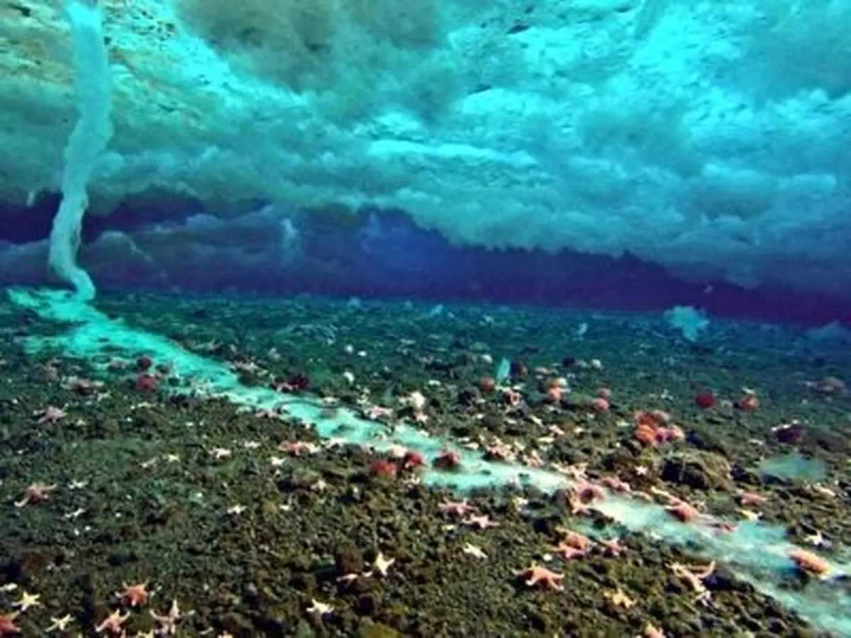 پدیده جادویی و ترسناک قندیل مرگ یا انگشت یخی!+ فیلم