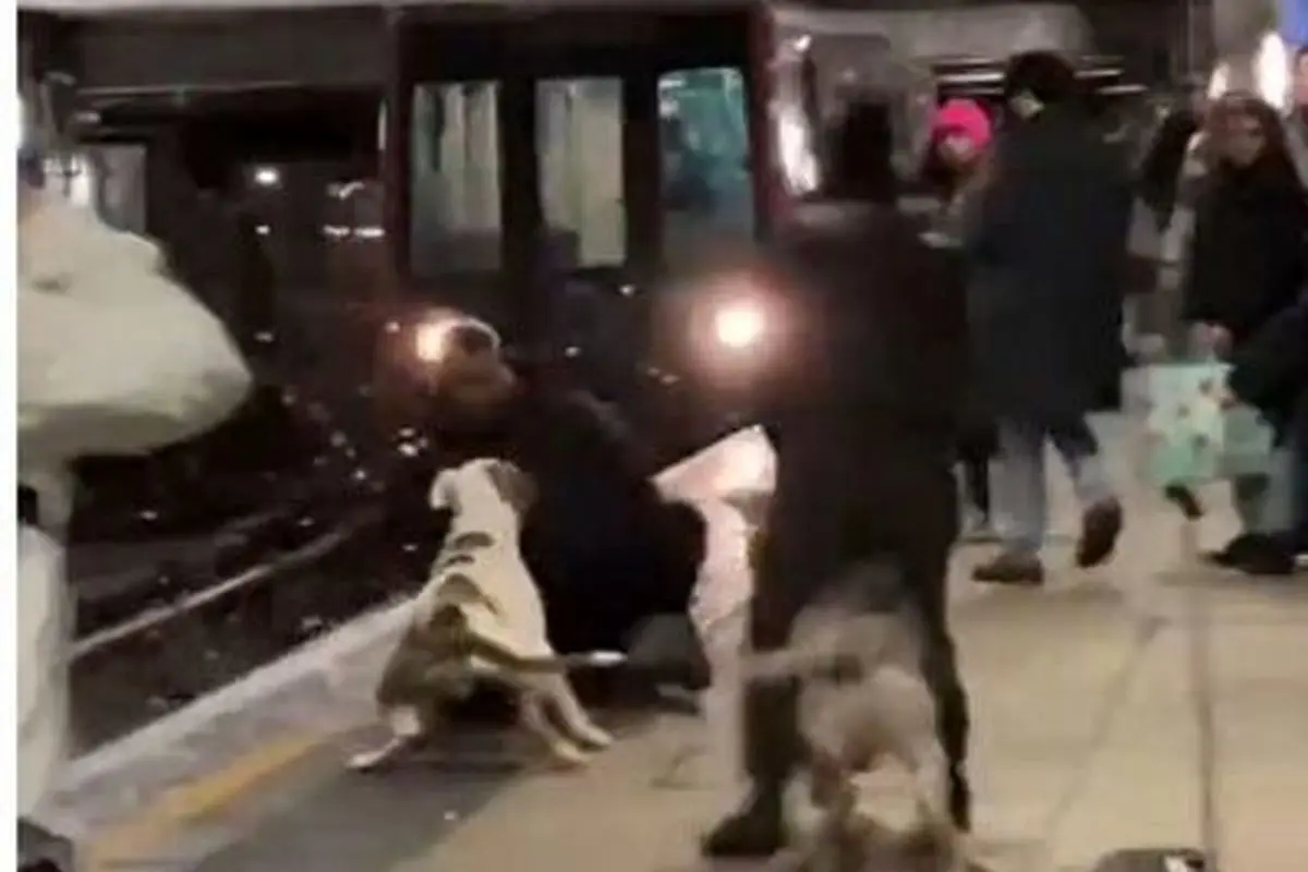 حمله وحشتناک سگ به یک مسافر در ایستگاه مترو+ فیلم