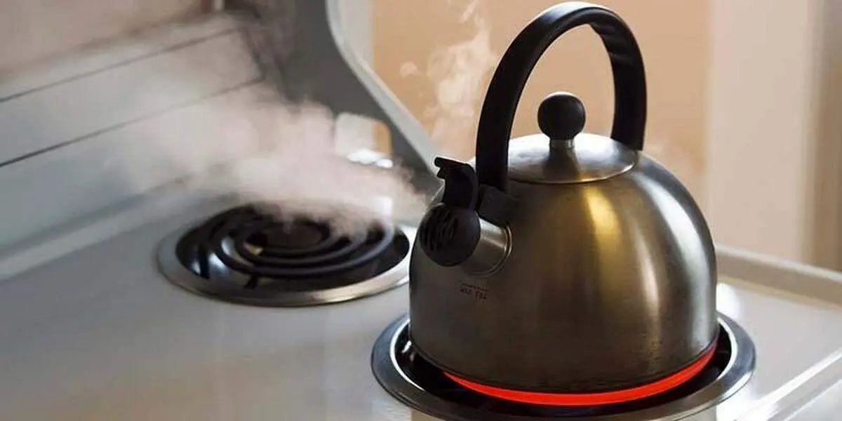 فایده عجیب رسوب کتری برای بدن