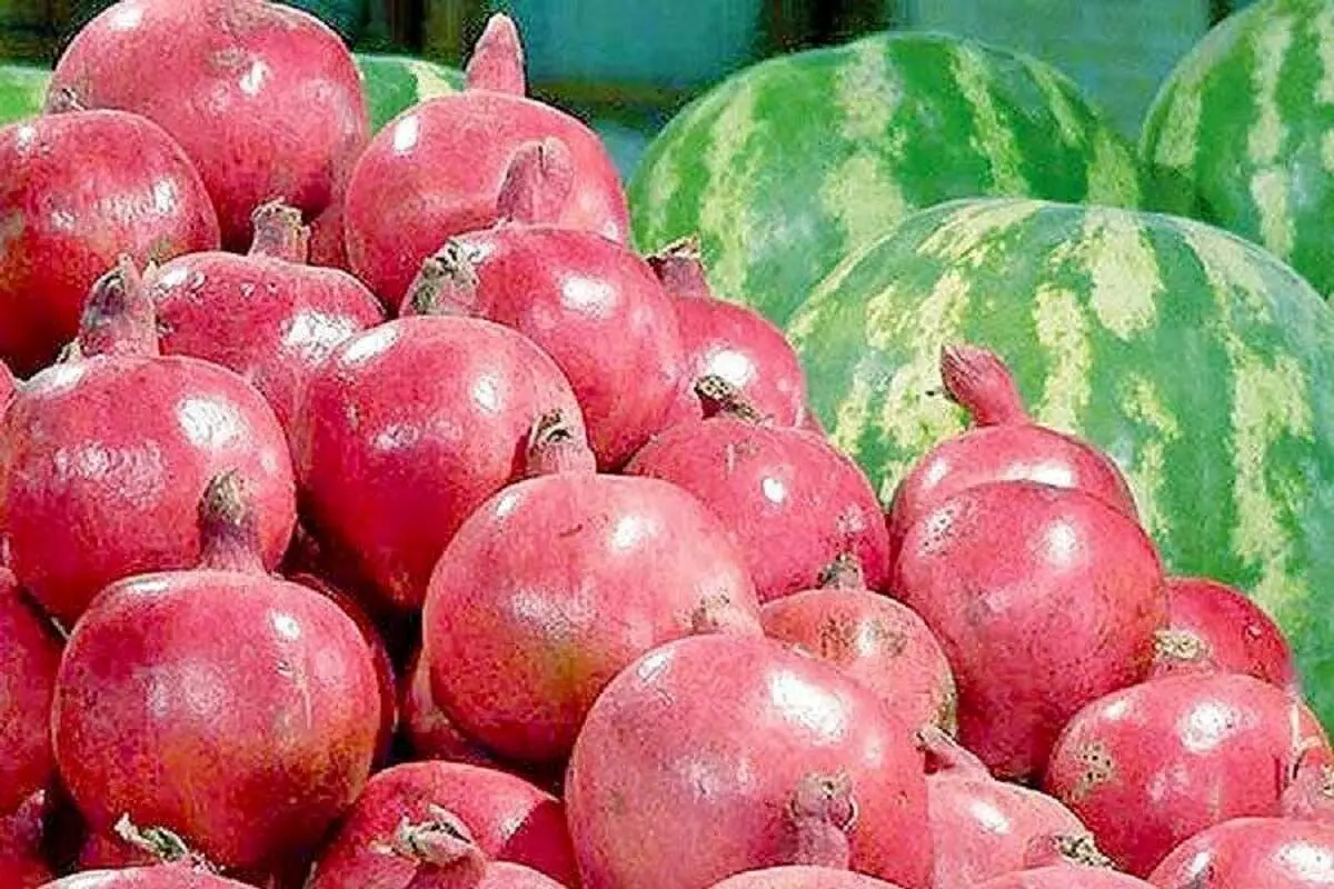 هر کیلو انار، خرمالو، هندوانه، کیوی و پرتقال چند؟