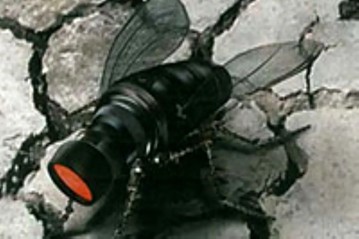 ربات پرنده جاسوسی که اندازه یک زنبور است+ عکس
