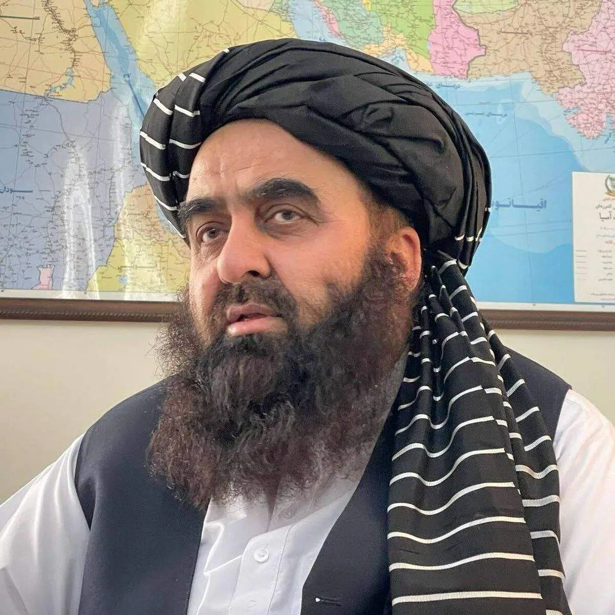 زبان فارسی همانند پشتو زبان رسمی افغانستان است